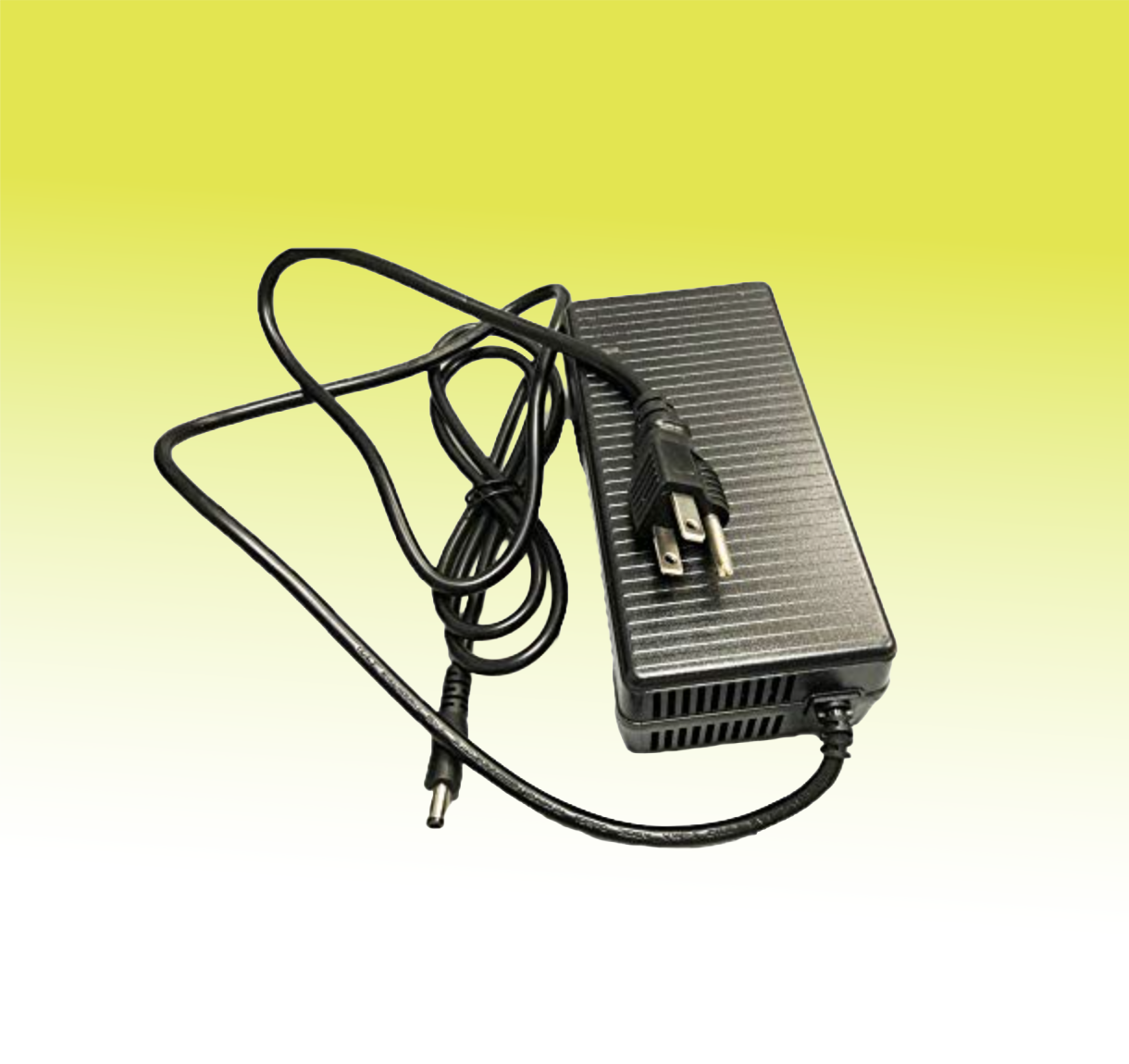 Charger 48V/36V