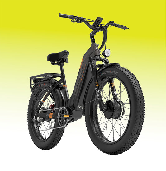 Limited Offer for 2000W Dual Brushless Motor