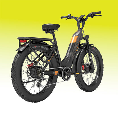 Limited Offer for 2000W Dual Brushless Motor
